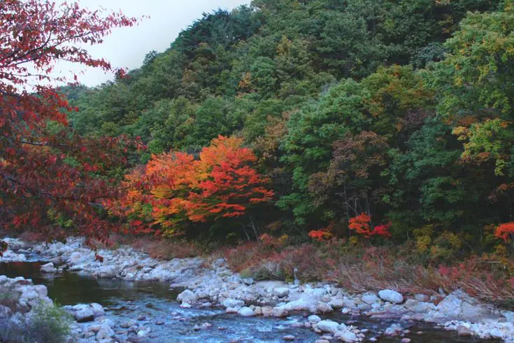 Keindahan alam Korea Pemandangan pedesaan Korea yang indah
