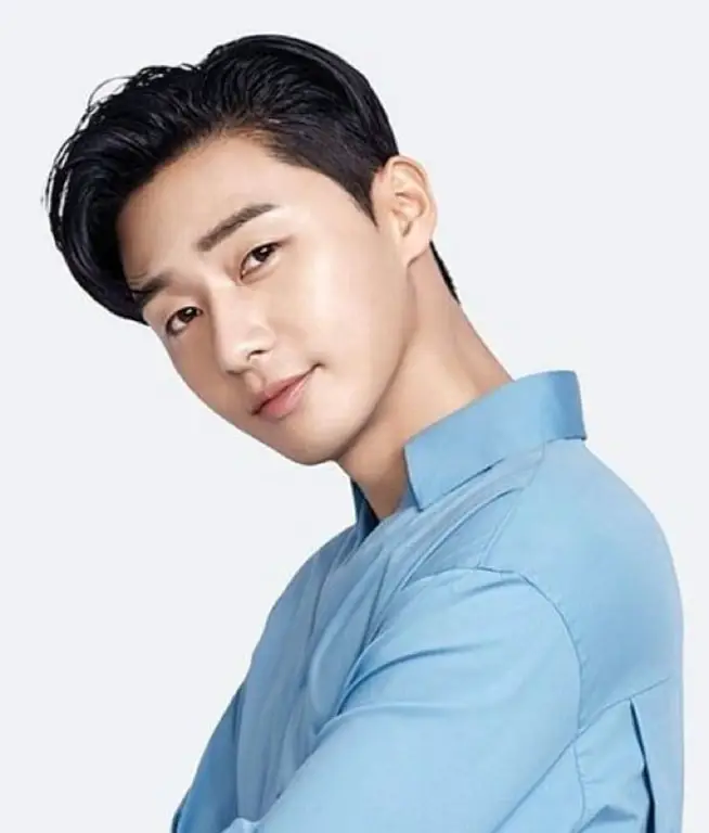 Popularitas aktor dan aktris Korea Aktor dan aktris Korea terkenal